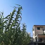Saleto Apartma * Jagodje