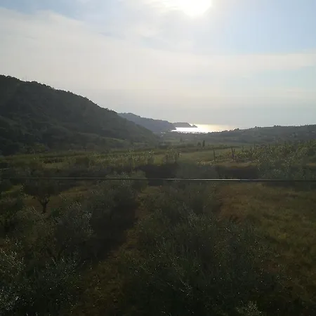 Saleto Apartma * Jagodje