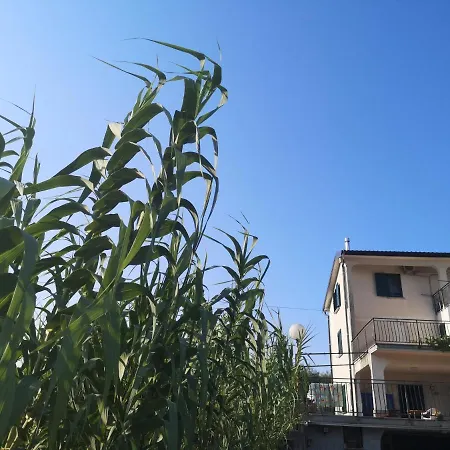 Saleto Apartma * Jagodje