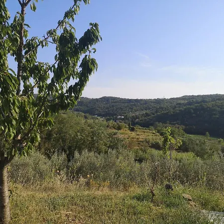 Saleto Apartma Daire