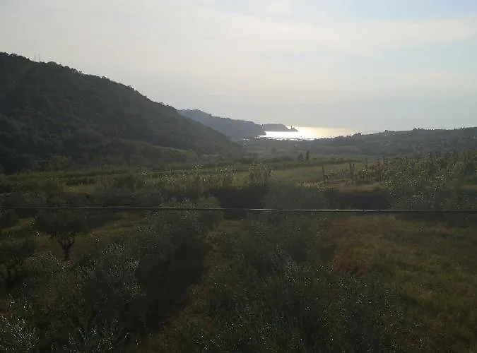 Saleto Apartma * Jagodje