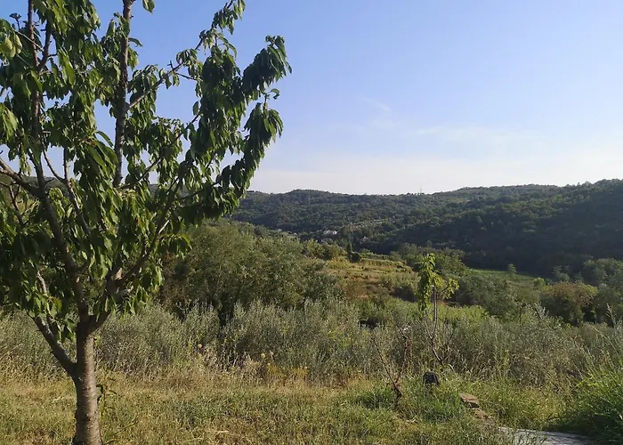 Saleto Apartma 아파트